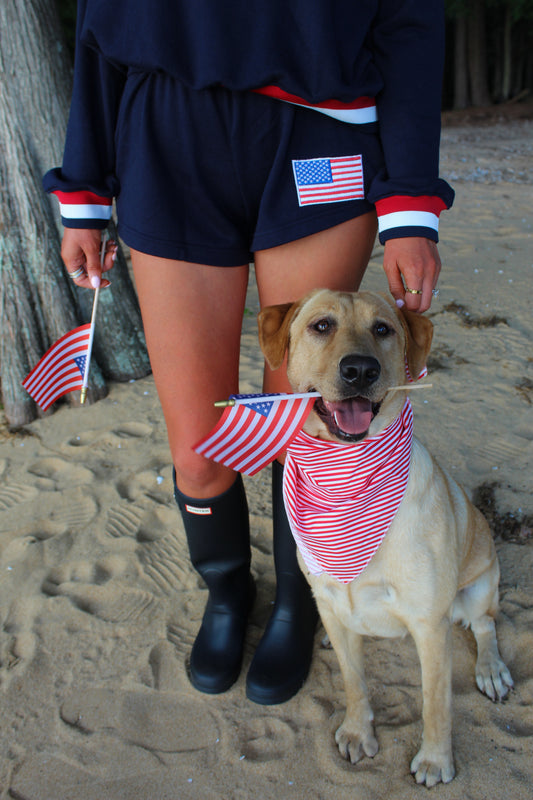 Woman in navy outfit with red accents holding American flags next to a happy dog in a striped bandana.