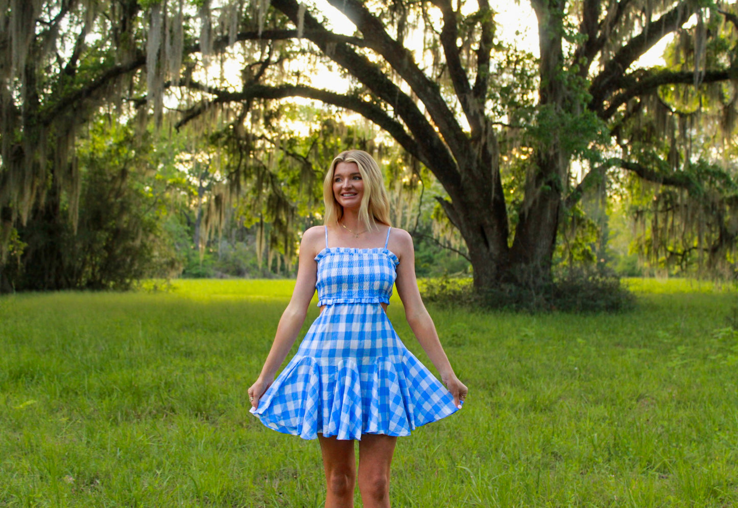Blue gingham plaid summer dress with a flared skirt and smocked bodice, perfect for warm weather outings.