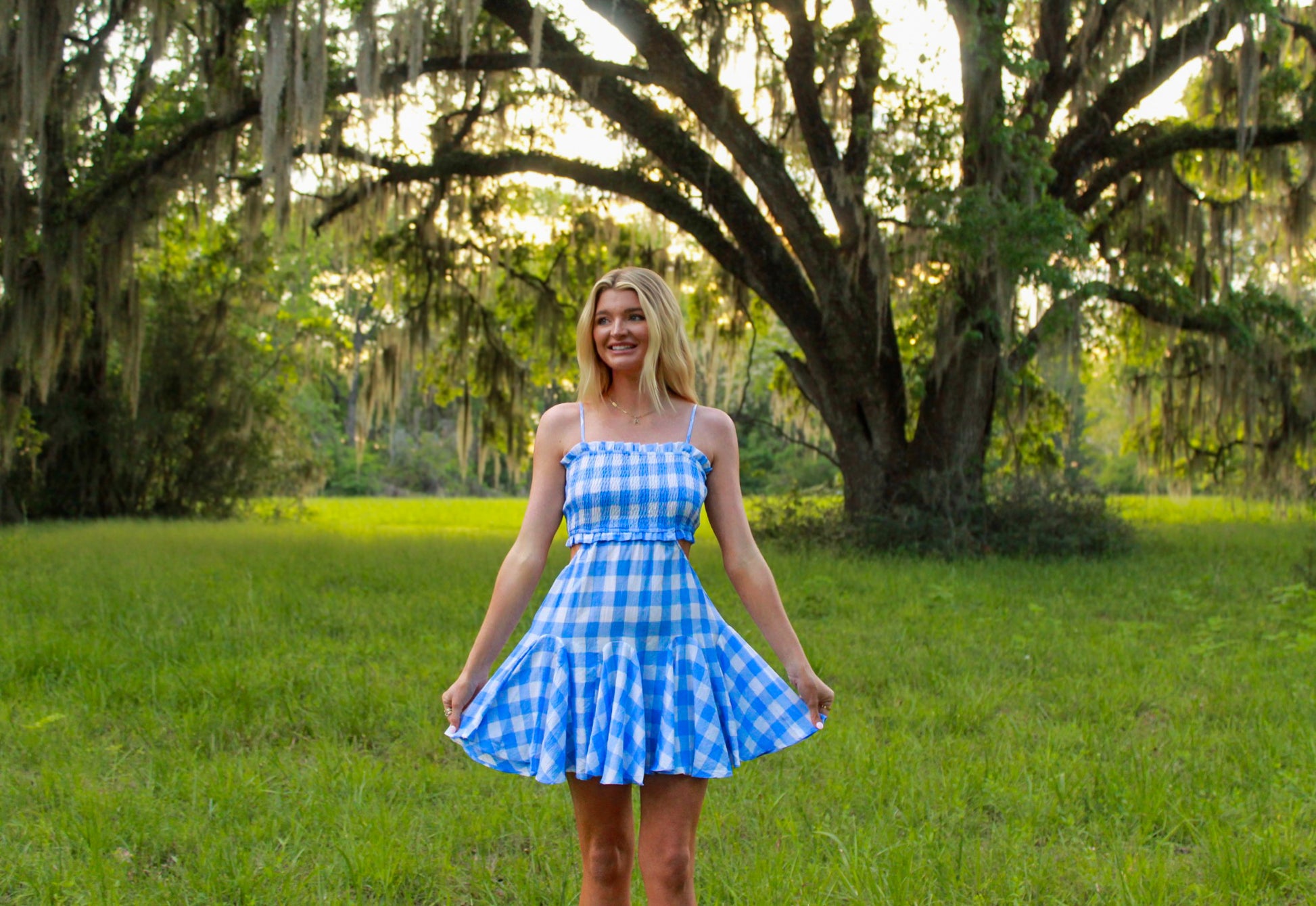 Blue gingham plaid summer dress with a flared skirt and smocked bodice, perfect for warm weather outings.